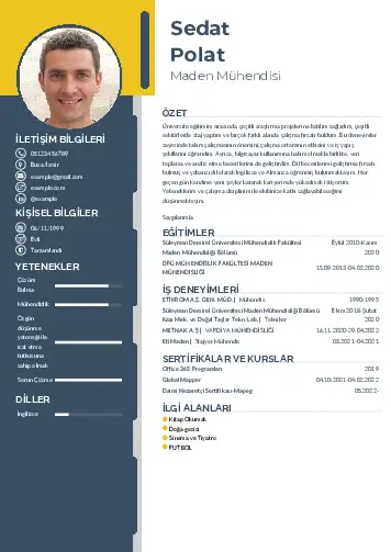 Maden Mühendisi Cv Örnekleri cv indir
